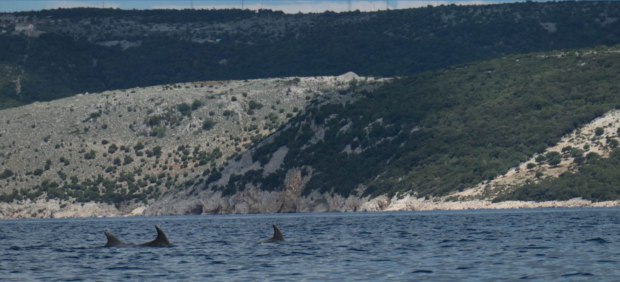 Kroatien Delphine Kayak Retreat